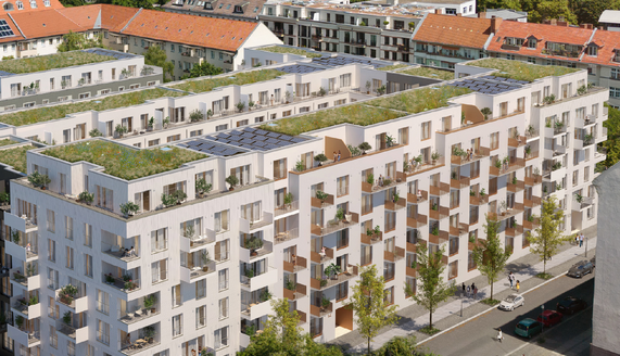 Projektbild von Bergfürst