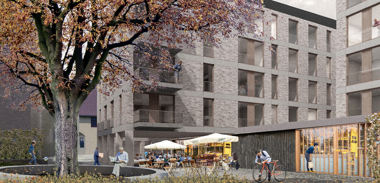 Projektbild von Bergfürst