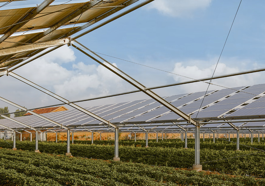 Projektbild von EXPORO