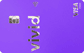 Vivid Money Business Pro